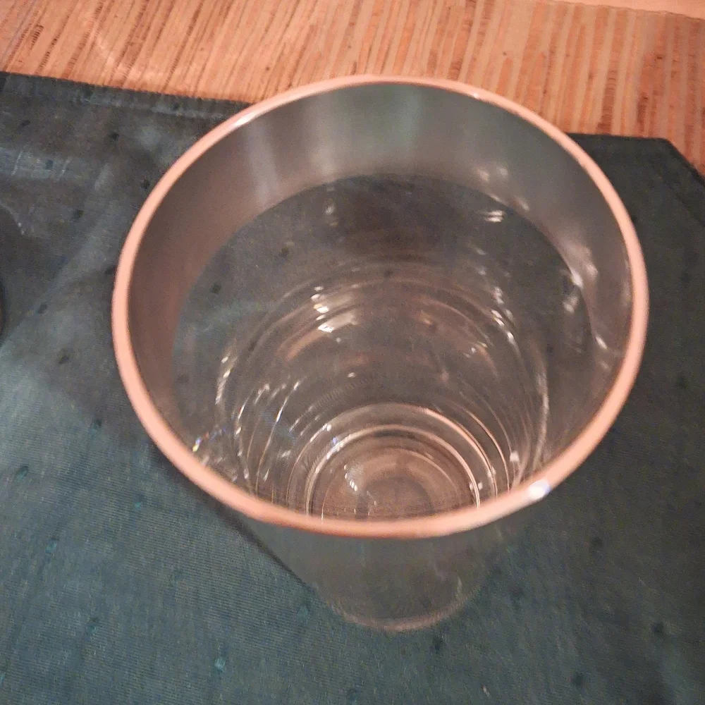 4 MCM Dorothy Thorpe Silver Vintage Glasses